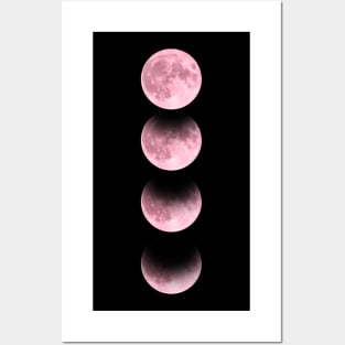 Pink Moon Posters and Art